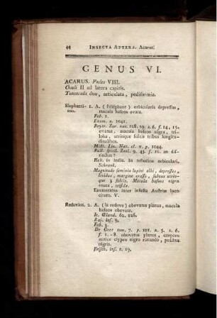 GENUS VI