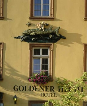 Goldener Hecht