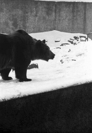 Winter im Karlsruher Zoo.