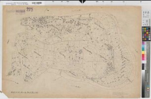 Arfeld (Bad Berleburg), Umlegung Arfeld, Urkarte I Flur 7 Bl.2