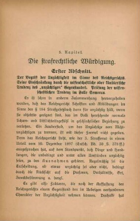 5. Kapitel. Die strafrechtliche Würdigung
