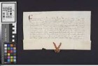 Wimpfen: König Friedrich befiehlt Schultheiß, Rat und Bürgern der Stadt Wimpfen sowie allen Angehörigen des Reichs, die Kanoniker und Vikare des Stifts in Wimpfen in ihren Häusern in Wimpfen ruhig wohnen und sie ihre Freiheiten, Rechte, Ehren und Gewohnheiten, die sie von seinem Großvater Rudolf, seinem Vater Albrecht, seinem Vater, Heinrich, römischen Kaisern und Königen erhalten haben, ruhig und sicher genießen zu lassen.