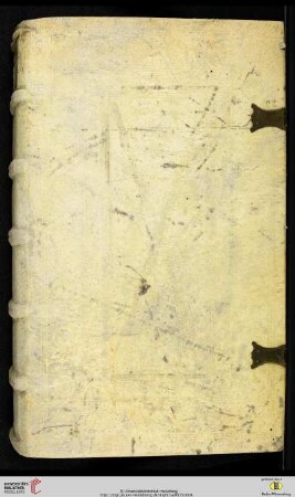 Gregorius Papa, VIII. ; Iohannes Andreae ; Innocentius Papa, IV. ; Iohannes Calderinus