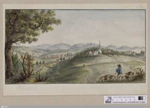 Triensbach u. Erkenbrechtshausen von der Abendseite : nebst den Orten Gröningen u. Bölgenthal