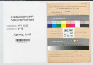 Entnazifizierung Josef Opheys , geb. 28.02.1891 (Lehrer)