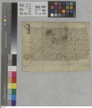 Erbach: Erteilung eines neuen Erbbriefes über die Hofreite am Bache zu Dorf Erbach