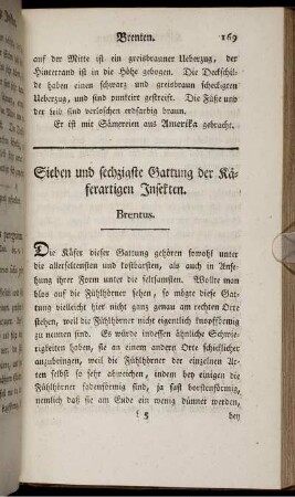 Sieben und sechzigste Gattung der Käferartigen Insekten. Brentus.