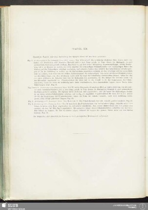 Tafel XII