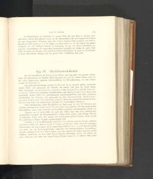 Kap. IV. Oberflächenbeschaffenheit.