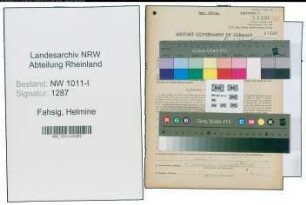 Entnazifizierung Helmine Fahsig , geb. 09.05.1905 (Postassistentin)