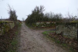 Weinhohle; Eltville, Weinhohle