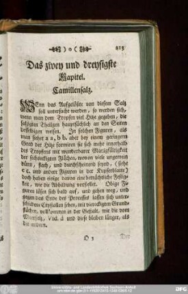 Das zwey und dreysigste Kapitel. Camillensalz.