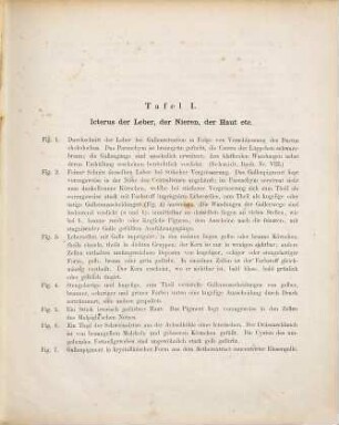 Die medicinische Klinik : nach eigenen Beobachtungen bearbeitet, 1,[2]. Pathologisch-Anatomischer Atlas zur Klinik der Leberkrankheiten