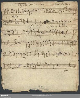 Fagotto / Violon[o]