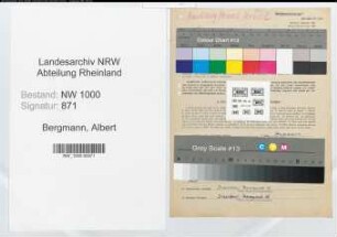 Entnazifizierung Albert Bergmann, geb. 01.07.1902 (Arbeiter)