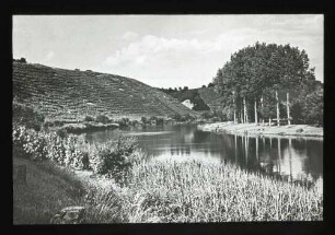 Blick flußabwärts zwischen Besigheim und Hessigheim