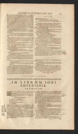 In Librum Iobi Adversaria