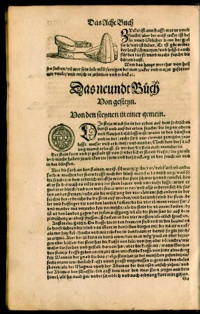 Das neundt Buch von gesteyn.