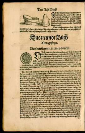 Das neundt Buch von gesteyn.