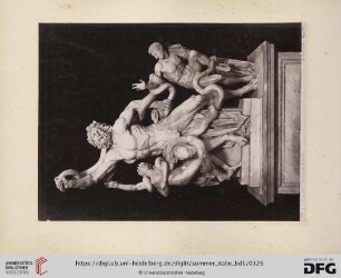 No. 1734. Laocoonte (Museo di Roma)