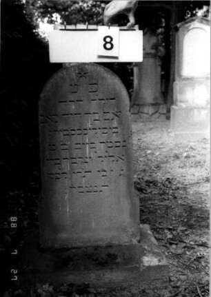 Grabstein 8 (Index: 100110225) Material: Sandstein Zustand: leicht verwittert Maße HxBxT: 86x60x40 cm Beschreibung: Stele, Sockel, Rundbogenabschluß Symbolik: fünfzackiger Stern: Grabstein 8