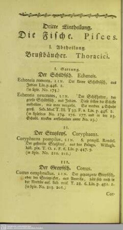 Dritte Eintheilung. Die Fische