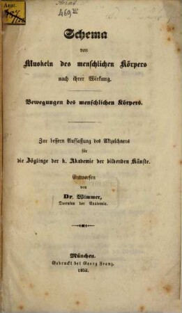 Schema von Muskeln des menschlichen Körpers nach ihrer Wirkung