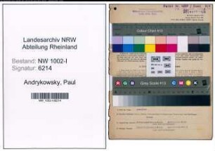 Entnazifizierung Paul Andrykowsky, geb. 18.02.1904 (Kaufmaennischer Angestellter)