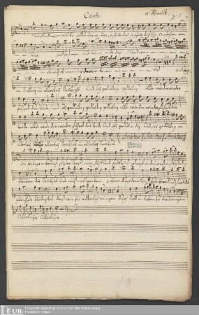Ms. Ff. Mus. 1263 - Mein Kind wilt du Gottes Die : Am 3ten Advent