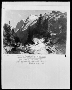 Schweizer Gebirgslandschaft (Haslital)