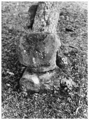 Tonina, Monument 59 (TNA: Mon. 59)