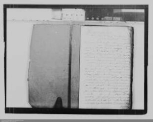 . Fürstinwitwe Henriette Amalie von Nassau-Diez ./. Vormundschaft Nassau-Diez: Allodialität des Hauses Oranienstein: Band 3