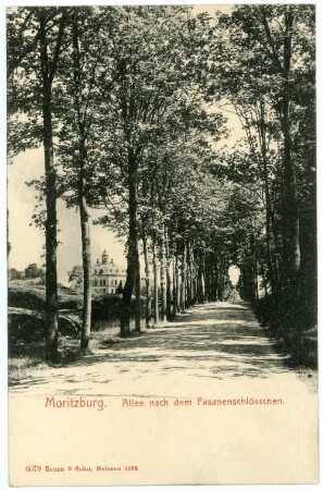 Moritzburg. Allee nach dem Fasanenschlößchen