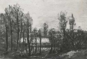 Frühling bei Graupa