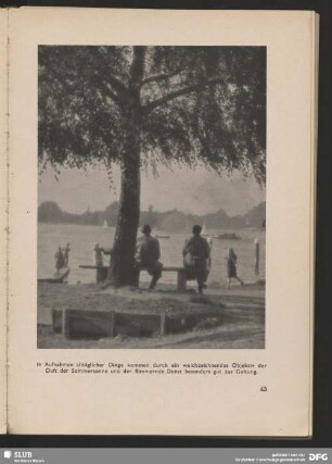 Der Duft der Sommersonne und der flimmernde Dunst