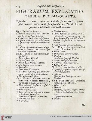 Figurarum explicatio: Tabula decima-quarta