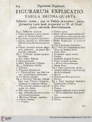Figurarum explicatio: Tabula decima-quarta