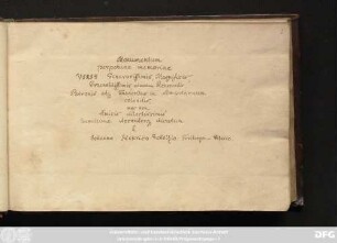 Monumentum| perpetuae memoriae|VIRIS Generosissimis, Magnificis| Praenobilissimis admodum Reverendis,|Patronis atque Fautoribus in Sempiternum| colendis| nec non| Amicis| delectissimis : Stammbuch Johann Henrico Scholtz