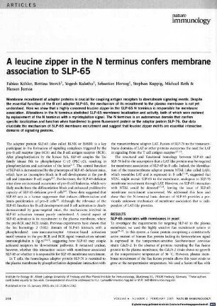 A leucine zipper in the N terminus confers membrane association to SLP-65