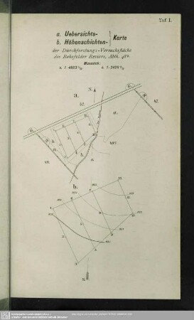 Taf. I. a. Uebersichts-/ b. Höhenschichten-Karte der Durchforstungs-Versuchsfläche des Rehefelder Reviers, Abth. 48b