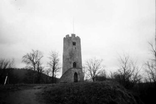 Freiburg, Zähringen: Zähringer Burg