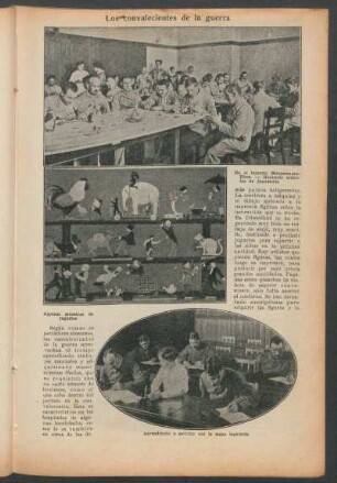 Los convalecientes de la guerra