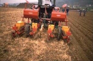 Fotografie: Säverfahren, Einzelkornsaat, Zuckerrübe, Mulchsaat, Zwischenfrucht