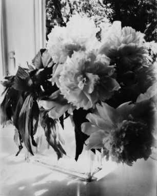Stilleben. Blumen in Glasvase vor geöffnetem Fenster mit Blick ins Grüne