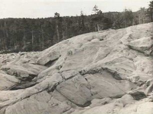 Westküste der Insel Gogland. Links Brandungsgerölle, jugendliche Hebung. Granitgang in dunklen Schiefern