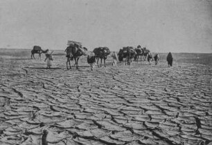 In der Wüste : Schlammschollen und eine Karawane mit Kamelen in der libyschen Wüste