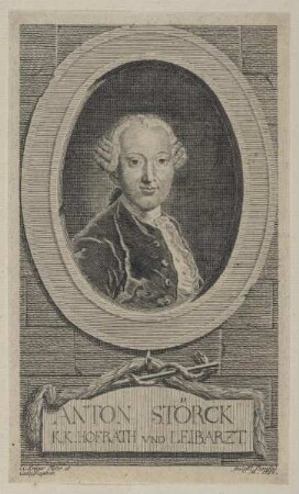 Bildnis des Anton Störck