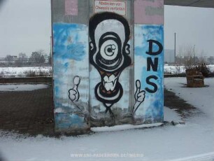 DNS | VIRUZ 69 | 12