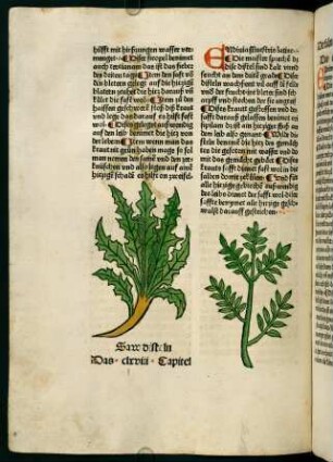 95v-96r, Die fasen auf den kleen (169. Kapitel)