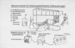 Versuchsstand für fütterungstechnische Untersuchungen